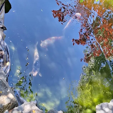 Relaxing Holiday In Willersdorf In The Forest Сasa de vacaciones