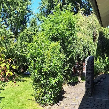 Relaxing Holiday In Willersdorf In The Forest Сasa de vacaciones Frankenberg an der Eder