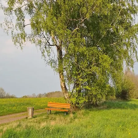 Сasa de vacaciones Relaxing Holiday In Willersdorf In The Forest Frankenberg an der Eder