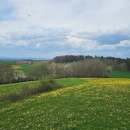 Relaxing Holiday In Willersdorf In The Forest Frankenberg/Sachsen