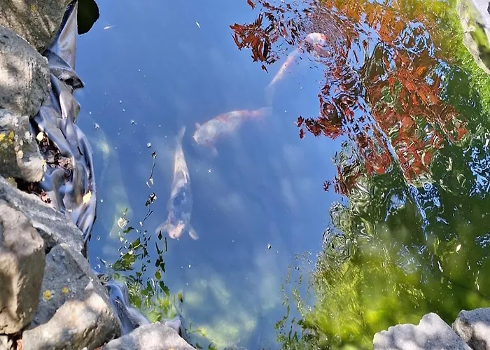 Relaxing Holiday In Willersdorf In The Forest Prázdninový dům