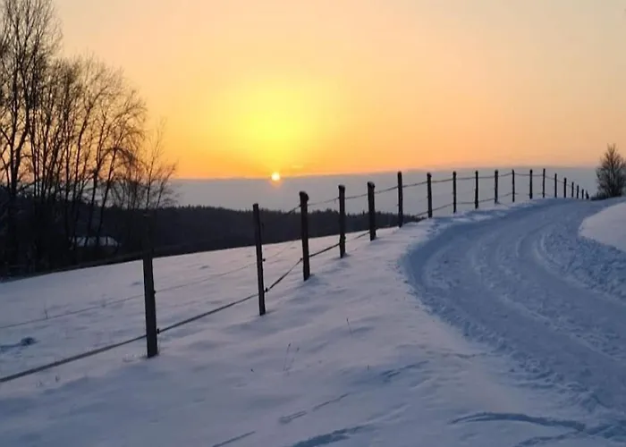 Prázdninový dům Relaxing Holiday In Willersdorf In The Forest *