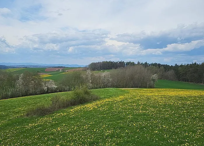 Relaxing Holiday In Willersdorf In The Forest Frankenberg an der Eder